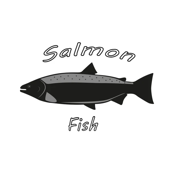 Ilustración vectorial de un pez salmón — Vector de stock
