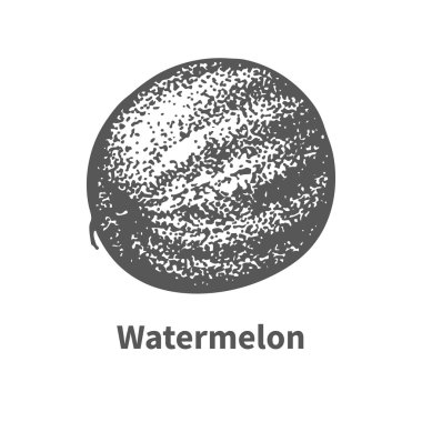 Vektör resim çizilmiş karpuz