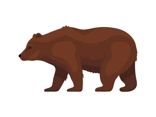 Brązowy niedźwiedź grizzly kreskówki — Wektor stockowy