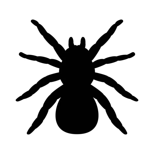 Vector tarantula spider silhouette — Stock Vector