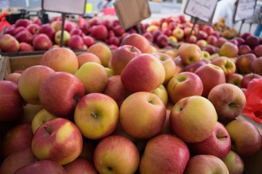 Elma Farmer's Market