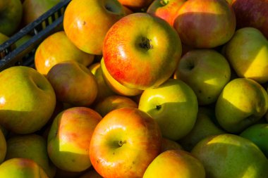 Gün batımında elma