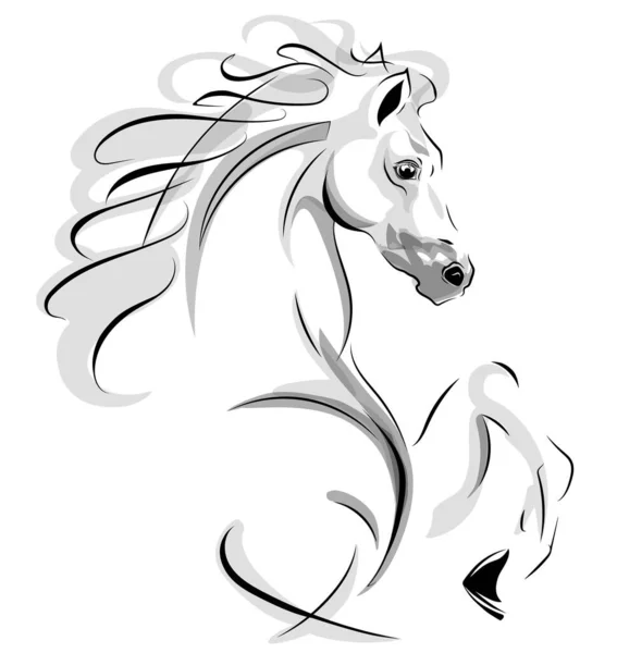 Vektorový obraz chovného koně na bílém pozadí — Stockový vektor
