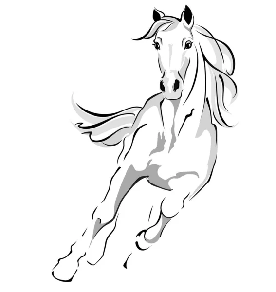 Ilustración vectorial de un caballo galopante. eps — Archivo Imágenes Vectoriales