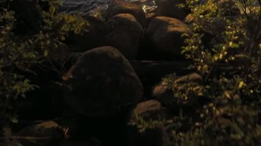 Gölün kıyısındaki kameranın günbatımına doğru düzgün hareketi. Karelia, Rusya.