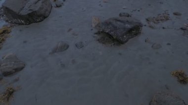 Beyaz Deniz kıyısındaki kameranın kademeli bir panoramik hareketi, Rusya 'da gelgit sırasında.