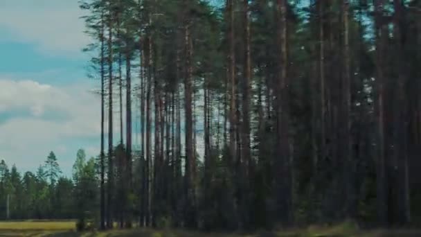 Vista panorámica de la carretera desde la ventana de un coche en movimiento. Autopista Kola a través de Karelia, Rusia. — Vídeos de Stock