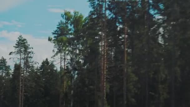 Vista panorâmica da estrada a partir da janela de um carro em movimento. Estrada Kola através da Carélia, Rússia. — Vídeo de Stock