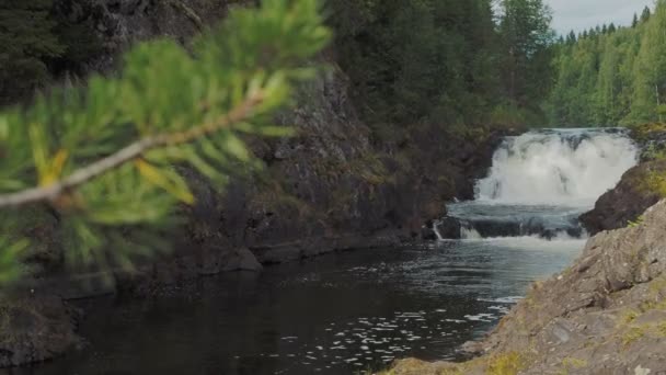 Wodospad Kivach nad rzeką Suną jest wizytówką Karelii, Rosja. — Wideo stockowe