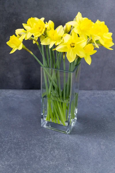 Sarı nergis, jonquils.