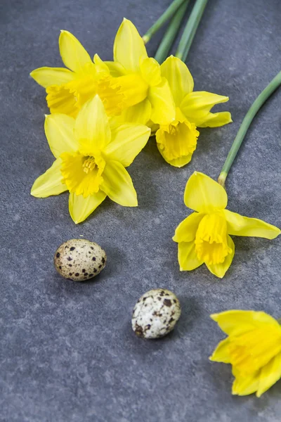 Bıldırcın yumurtası ve Nergis.