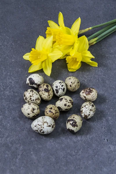 Bıldırcın yumurtası ve Nergis.