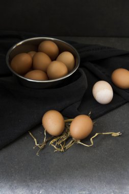 Paskalya. Yumurta. Hayat.