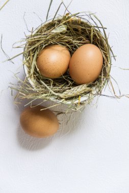 Paskalya yortusu yumurta bir kase ve saman.