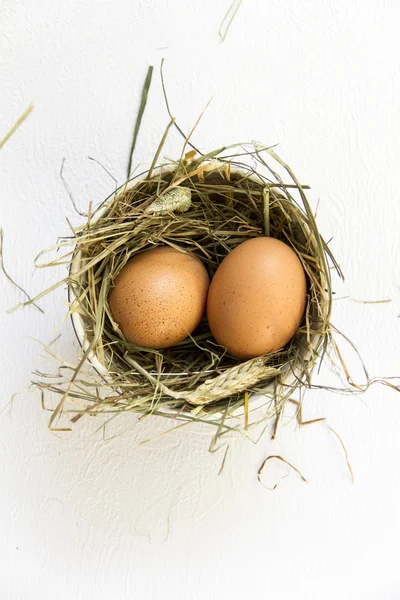 Paskalya yortusu yumurta bir kase ve saman.