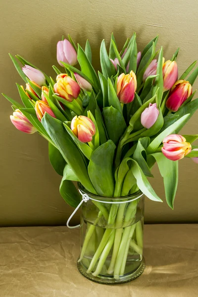 Physalis, domates, meyve.