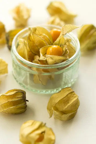 Physalis, domates, meyve.