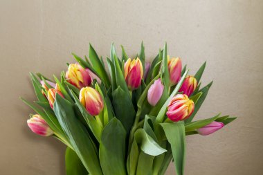 Renkli lale, Paskalya, Bahar.