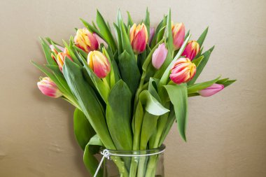 Renkli lale, Paskalya, Bahar.