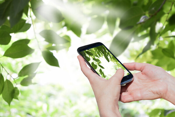 Woman hands  with smart phone against spring green background . Modern technologies bring joy into our lives.