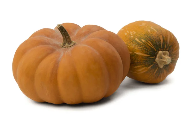 白を基調にした新鮮なオレンジのカボチャ 10月の休日の装飾 楽しさとお祝いのための秋の装飾 自然の収穫だ 健康的な有機製品 — ストック写真
