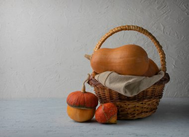 Bahçe sepetinde farklı türde bal kabakları. Cadılar Bayramı ve sonbahar geçmişi. Şükran Günü ya da mevsimsel sonbahar. Tasarım modeli. Şükran Günü geçmişi.