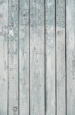 Ahşap bir yüzeyin solmuş dokusu maviyle boyanmış. Mavi boya soyuluyor. Ağaç dalı. Yaşlanma süreci. Arkaplan resmi. Mesaj için yer. Çatlaklar. Poster. Doğal desenli ahşap doku.