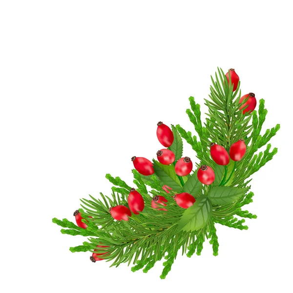 バラの腰 ホリーと松の枝で飾られたクリスマスの花輪 メリークリスマスのためのデザイン装飾 グリーティングカードデザインテンプレート — ストック写真