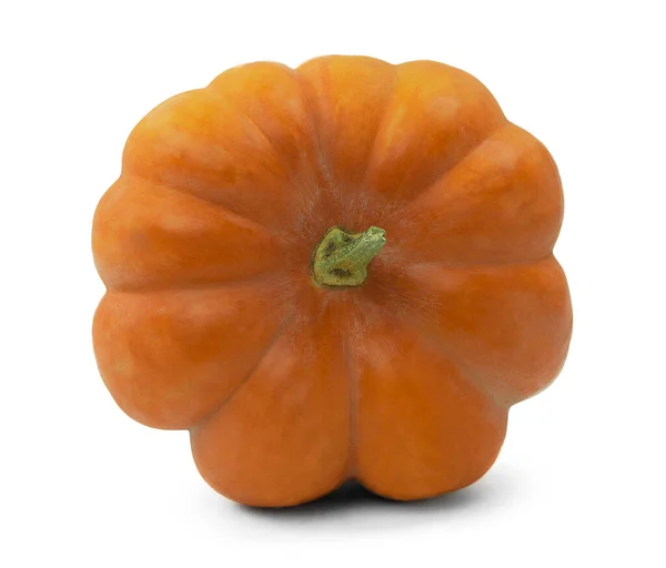 Dia Acção Graças Colheita Outono Frutas Legumes Abóbora Fundo Branco — Fotografia de Stock