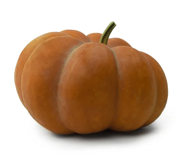 Pozdní Menu Zdravé Vegetariánské Jídlo Podzimní Oranžová Dýně Bílém Pozadí — Stock fotografie