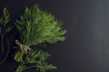 Dill. Cilantro. Masada maydanoz ve salata deresi için sebzeler. Kopya alanı, çiğ gıda konsepti, yakın çekim. Üst Manzara. Düz yatıyordu. Mutfak arka planı. Tarifleriniz için taze bitkiler.. 