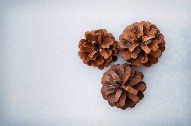 Kış festivali doğa konsepti. Düz konum, kopyalama alanı. Çam kozalaklı Noel arkaplanı, kardaki köknar dalları. Dekorasyonlu ve karlı bir kış tatili. Mesaj için yer var. Üst görünüm.