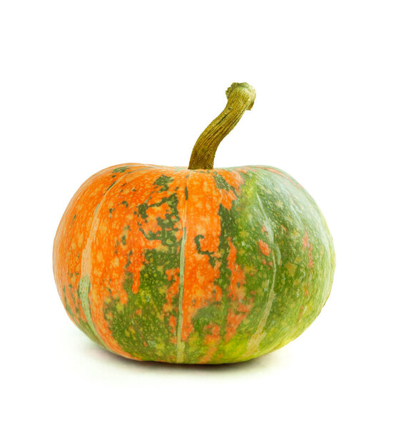 Composition of different varieties of pumpkins. Autumn vegetables. Pumpkin isolated. Halloween decor with various pumpkins, autumn vegetables and flowers. Harvest and garden decoration. Harvest