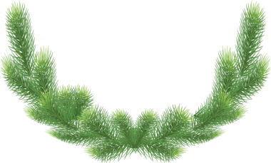 Çam ağacı dalı Noel çelengi, illüstrasyon. Şeffaf yeşil iğneli firavun dalları, png. Kış tatili, yemyeşil süsleme, ladin veya sedir unsurları. Çelenk, çelenk