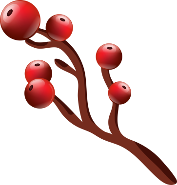 Yeşil yapraklı ve kırmızı böğürtlenli Holly filizi. Şeffaf, png. Noel ve Yeni Yıl dekorasyonu. Makbuz tasarımı, Noel Baba tebrik kartı, davetiye. kırmızı çilek