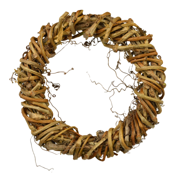 Sarmaşık kırsalı çelengi. Dalları bükülmüş çiçek dekoru. Boho tarzı vintage çelenk. Doğal kuru çember şekil elementi. Şeffaf olarak izole edildi, png