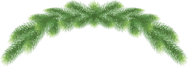 Çam ağacı dalı Noel çelengi, illüstrasyon. Şeffaf yeşil iğneli firavun dalları, png. Kış tatili, yemyeşil süsleme, ladin veya sedir unsurları. Çelenk, çelenk