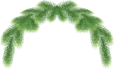 Çam ağacı dalı Noel çelengi, illüstrasyon. Şeffaf yeşil iğneli firavun dalları, png. Kış tatili, yemyeşil süsleme, ladin veya sedir unsurları. Çelenk, çelenk