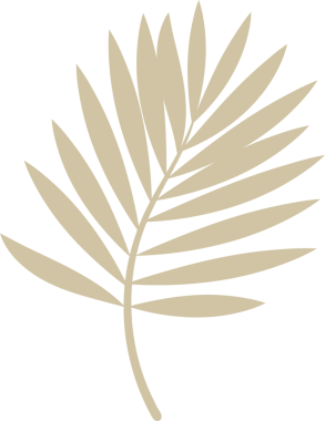 Tropik yeşil palmiye yaprağı. Şeffaf, png üzerinde yalıtılmış tropikal bitki dalları. Hindistan cevizi palmiye yaprağının yaz ögesi, ön taraf görünümü, düz minimal biçim, illüstrasyon