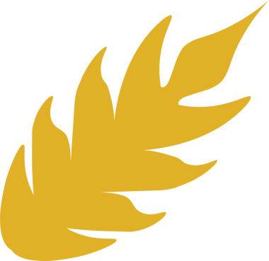 Spike, çerçeve, sınır altın rengi buğday çemberi beyaz arka planda karikatür tarzında izole edilmiş. Fırın, etiket ya da etiketler için. şeffaf, png