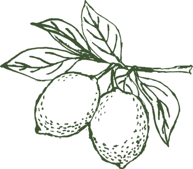 Yapraklı taze limon meyvesi logosu. Limon suyu logosu, limon bahçesi, meyve dükkanı, modern. Şeffaf yaprakları olan bir dalda limon çizgisi, png.