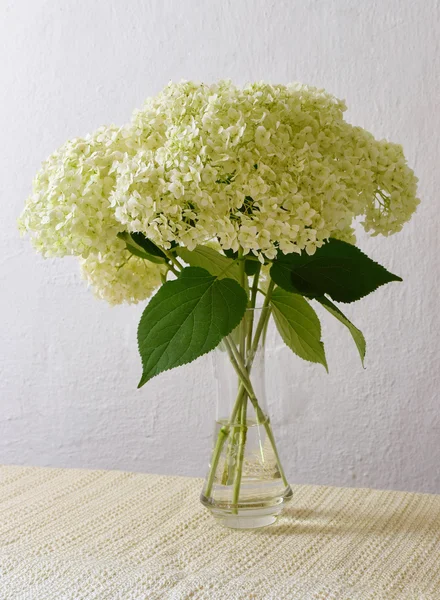 Bouquet of hydrangea flowers. — Stock Photo, Image