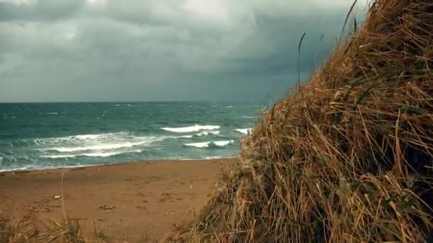 Březích Okhotského Moře Iturup Island — Stock video