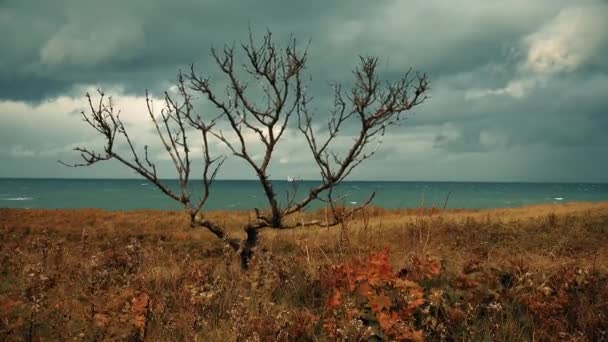 Březích Okhotského Moře Iturup Island — Stock video