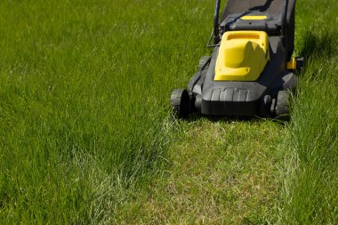 Çim biçme makinesi ve çim.
