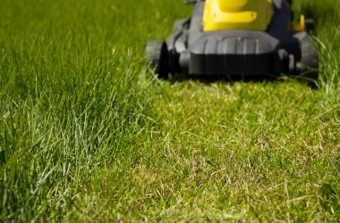 Çim biçme makinesi ve çim.