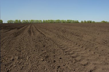 Kırsal çalışma çiftçilik.