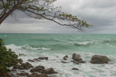 Deniz manzarası-deniz, wale, gökyüzü.