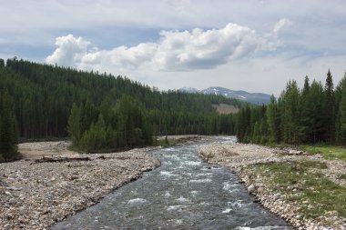 Nehir, dağ, orman ve gökyüzü.