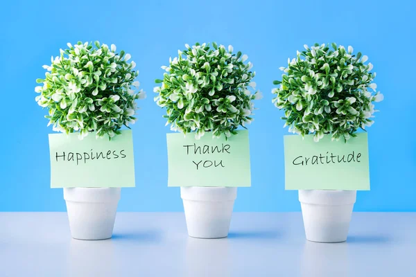 言葉でメモありがとう ポットの緑の植物の感謝と幸福 — ストック写真